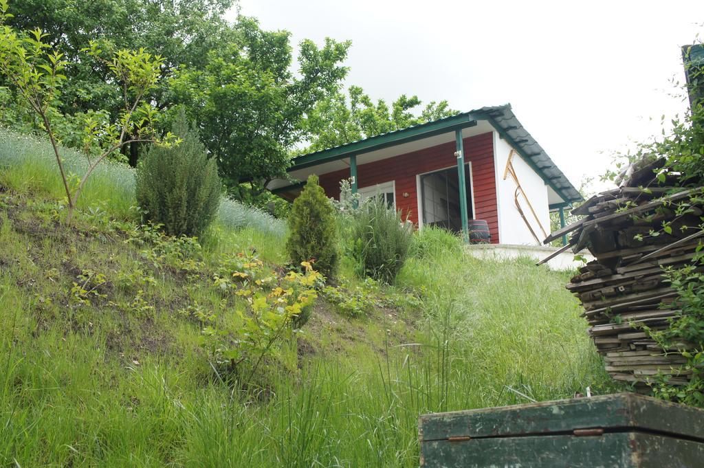 Casa Bella Turda Ξενοδοχείο Εξωτερικό φωτογραφία